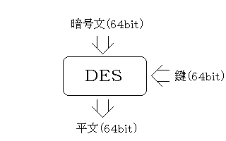 �ģţӤ����沽��ά��